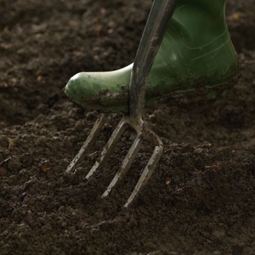digging Fall Vegetable Garden - Digging