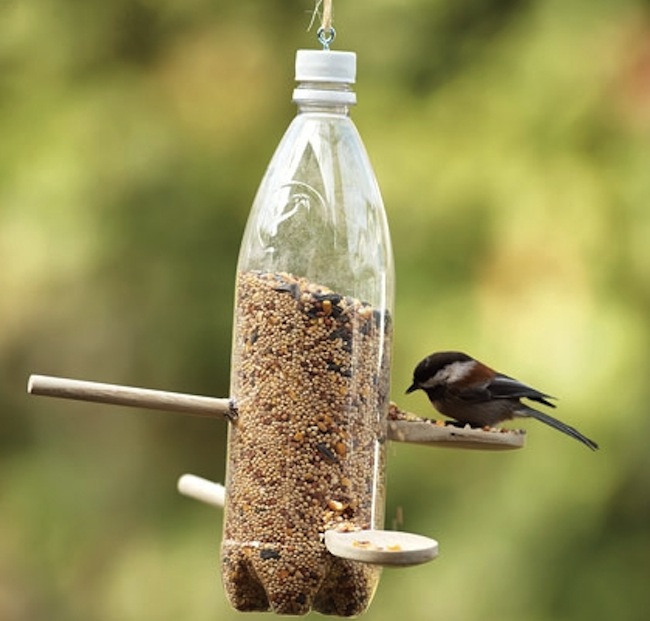 bird-feeder Reuse Plastic Bottle - Bird Feeder