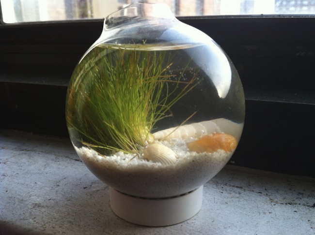 aquarium Light Bulb DIY Projects - Aquarium