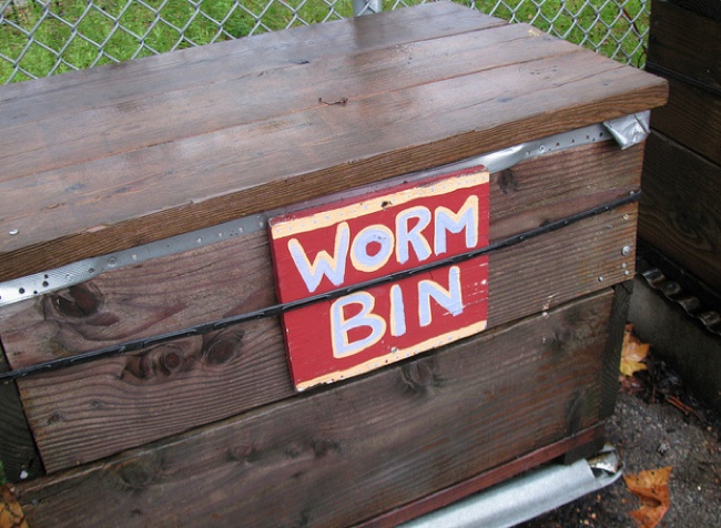 diy-worm-bin Vermiculture - DIY Worm Bin