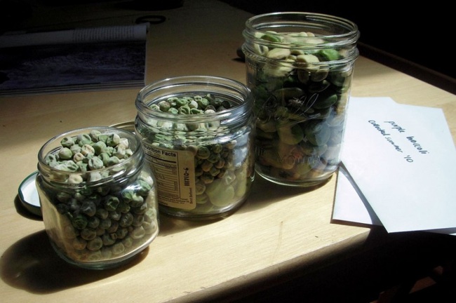 drying Saving Seeds - Drying
