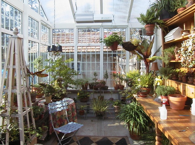 interior Build a Greenhouse - Interior
