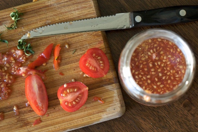saving-seeds Saving Seeds