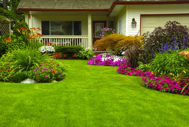 lawn-care-tips Lawn Care Tips