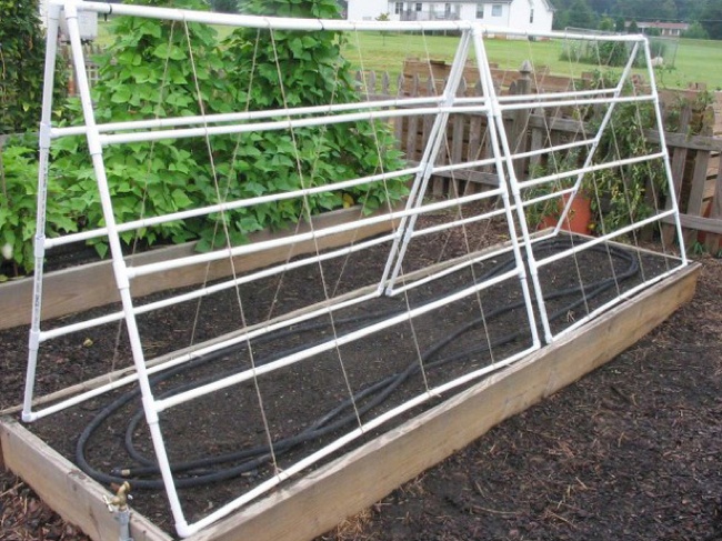 trellis PVC DIY - Trellis