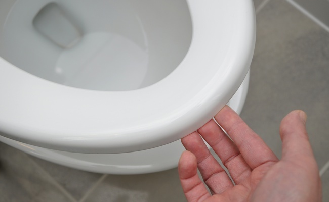 how-to-replace-a-toilet-seat How to Replace a Toilet Seat