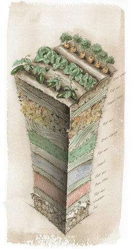 diagram Lasagna Gardening - Diagram