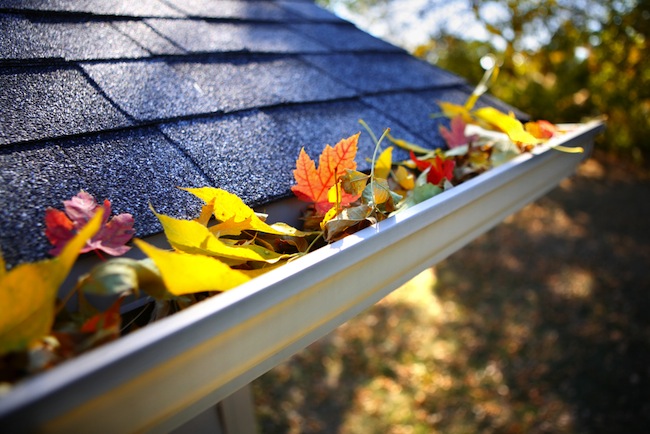 gutter-cleaning Gutter Cleaning