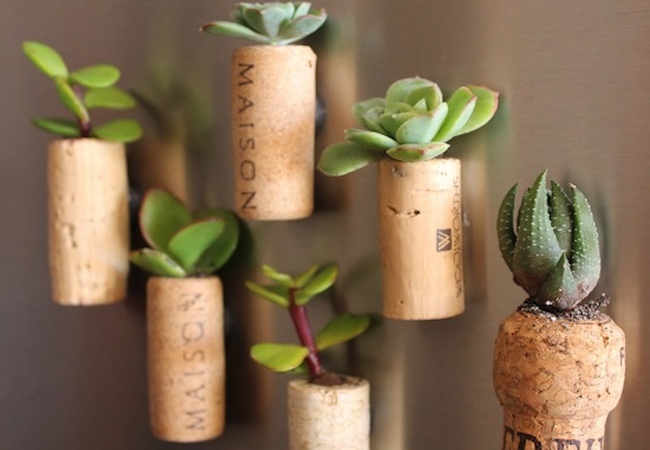 Wine Cork Projects - Planter