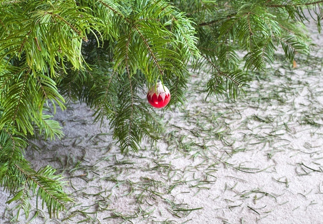 needles Taking Down the Christmas Tree - Needles