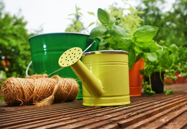gardening New Homeowner Tips - Gardening
