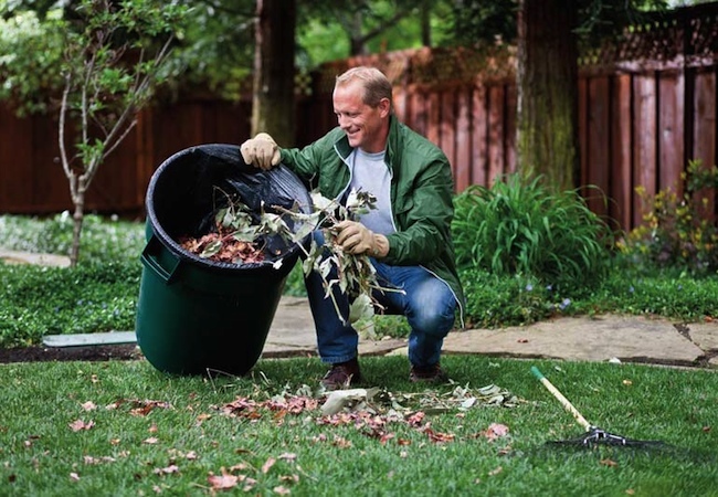 cleanup Spring Lawn Care - Cleanup