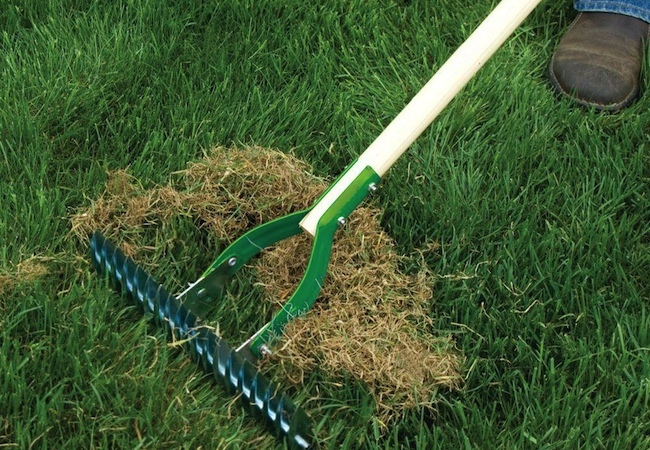 dethatching Spring Lawn Care - Dethatching