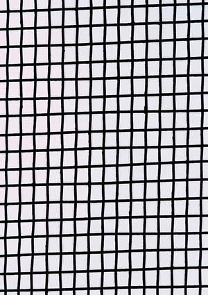 detail How to Clean Window Screens - Detail