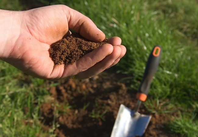 soil-testing Spring Lawn Care - Soil Testing