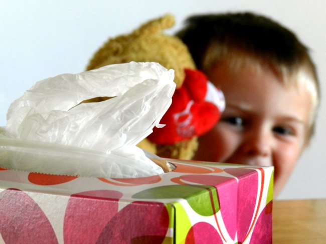 tissue-box-plastic-bag-dispenser DIY Organization Ideas - Tissue Box Plastic Bag Dispenser