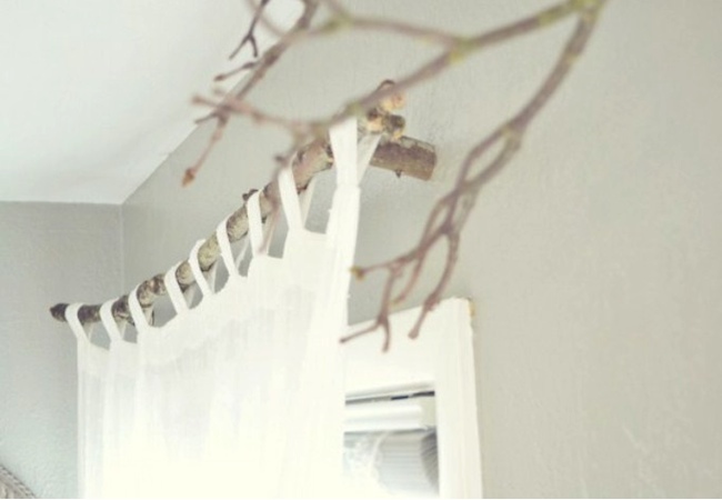 branch
