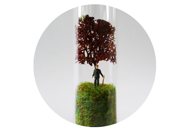 terrarium Test Tube Crafts - Terrarium