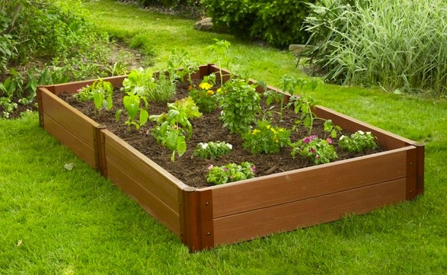 raised-garden-bed Raised Garden Bed