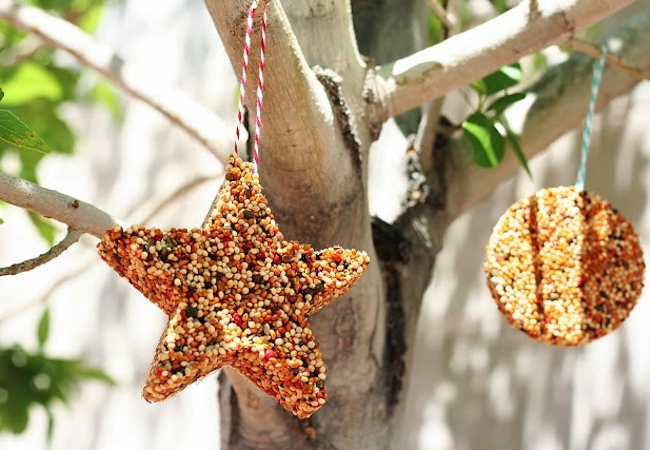 cookie-cutters DIY Bird Feeder - Cookie Cutters