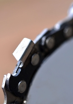 detail-blade How to Sharpen a Chainsaw - Detail Blade