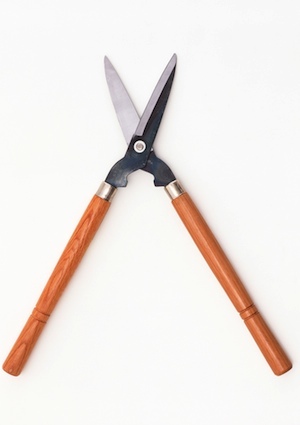 detail-pruning How to Prune a Tree - Detail Pruning