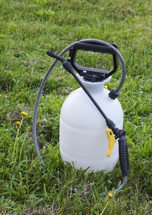 herbicide How to Get Rid of Crabgrass - Herbicide