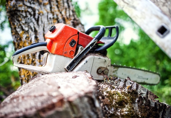 how-to-sharpen-a-chainsaw How to Sharpen a Chainsaw