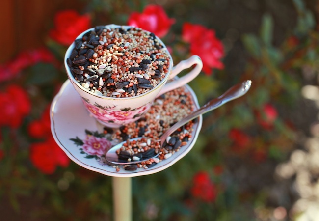tea-cup DIY Bird Feeder - Tea Cup