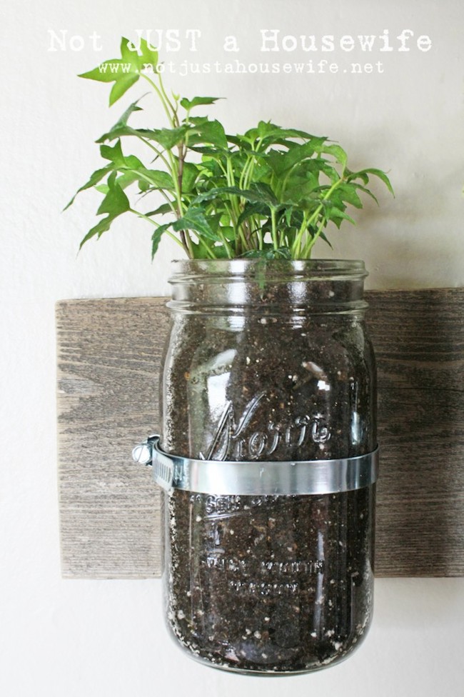 close-up Mason Jar Planter - Close Up