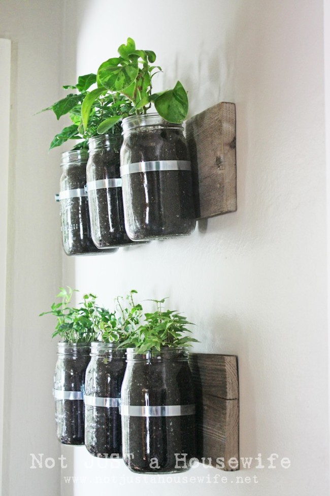 side-view Mason Jar Planter - Side View