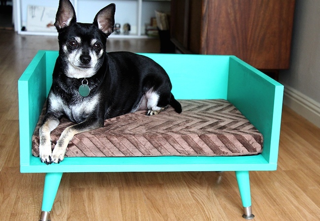 modern DIY Dog Bed - Modern