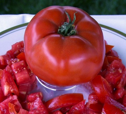 beefsteak Growing Tomatoes - Beafsteak