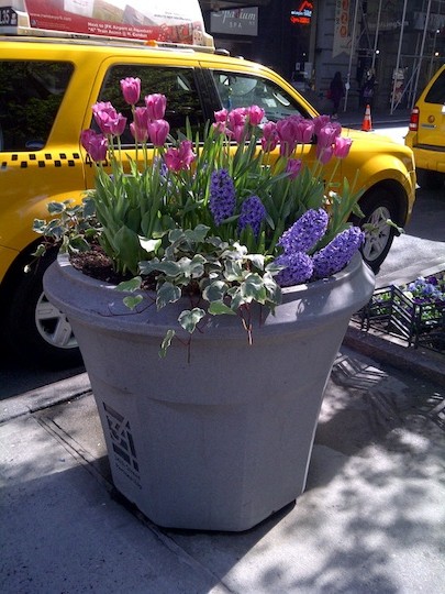 New York City Street Container Garden