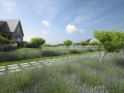 EDH_Image_5 Landscaping Ideas