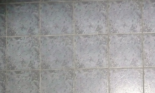 DSchwartz-EntryFloor-After-tile3 Replaceing Carpet with Tile