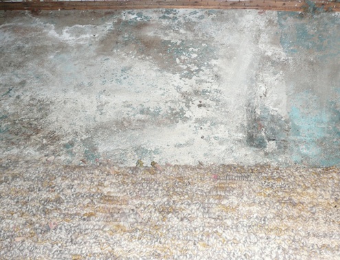 DSchwartz-EntryFloor-Tearingupcarpet Removing Carpet