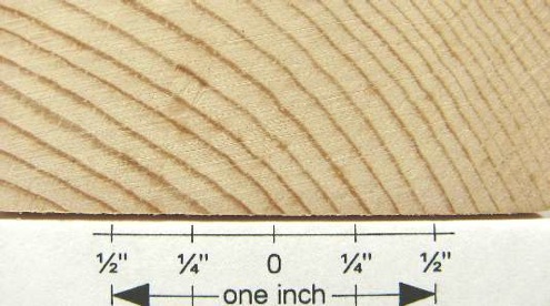 hobbithouseinc.com-pine, white clear 1 end grain closeup End Grain