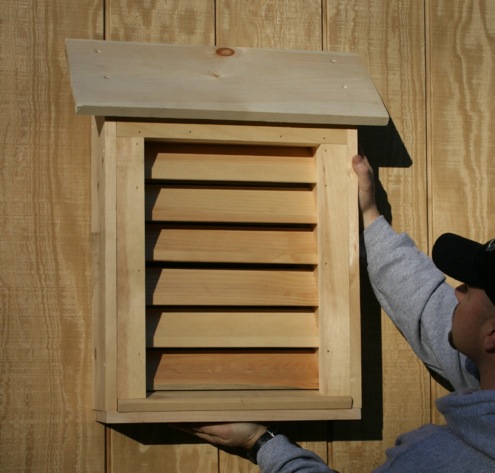 kid-friendly-diy-3-batbox Kid-Friendly DIY Home Projects