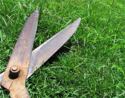 michaeln.org Lawn Care Hell