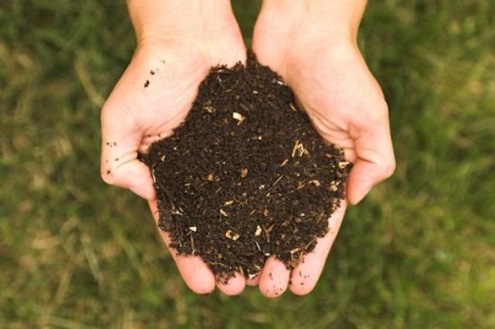 Greenupgrader.com-compost-pic-copy Composting 101