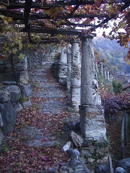 Patternandspace.blogspot-Pergolas-Ancient-Italian-Settimo_Vittone_Tupiun Build a Pergola - Ancient Italian Pergola