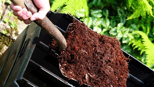 compost Composting 101