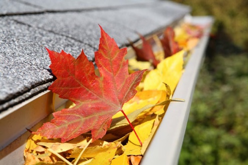 fall-checklist Fall Checklist