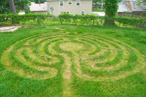 weed-whacking Weed Whacking