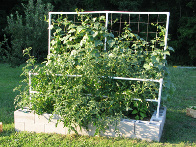 diy-with-cinder-blocks-raised-garden-bed DIY with Cinder Blocks- Raised Garden Bed