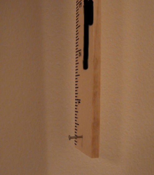 CelebrateEverydayWithMe-best-picture-hanging-tip Tips for Hanging Pictures