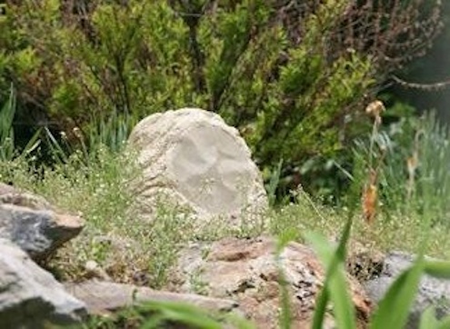 Backyard Speakers - Russound
