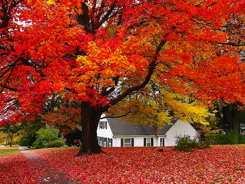 Fall Safety Fall Safety