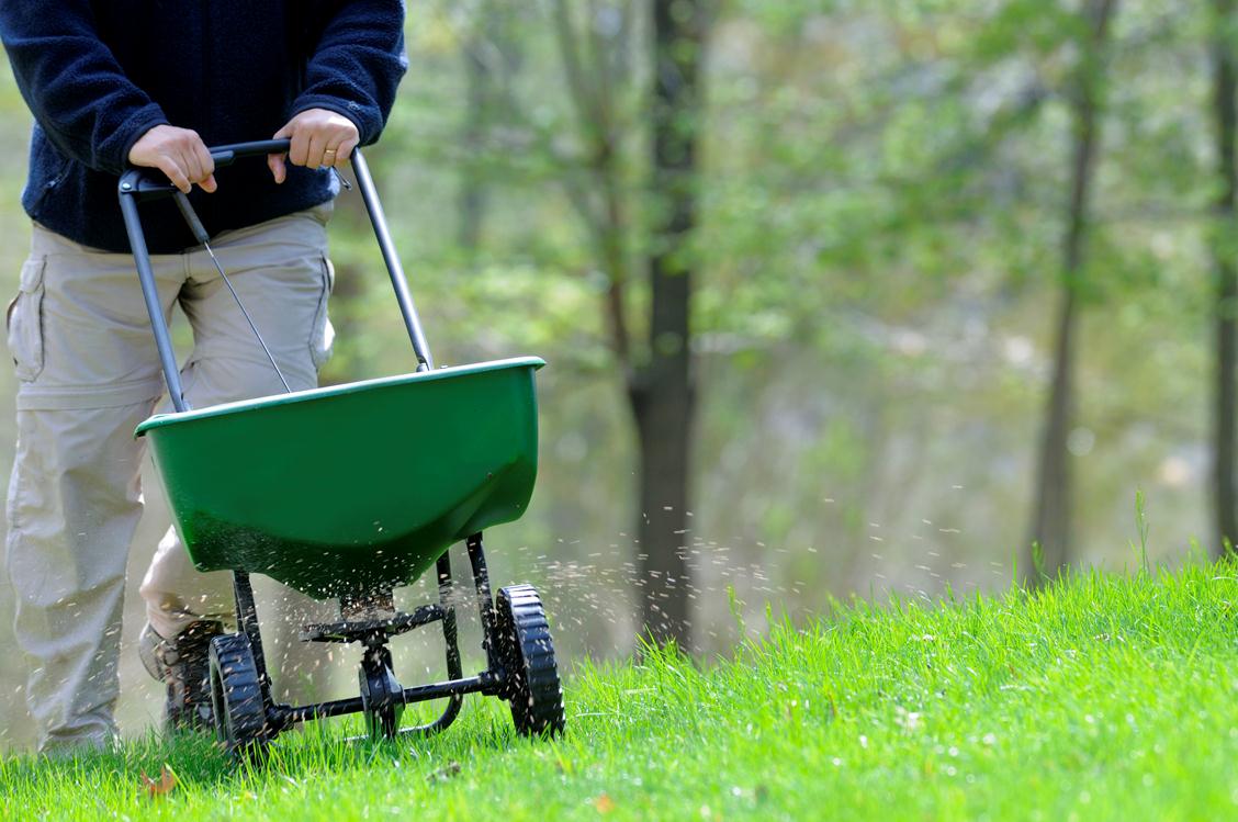 fall-lawn-maintenance Fall Lawn Maintenance